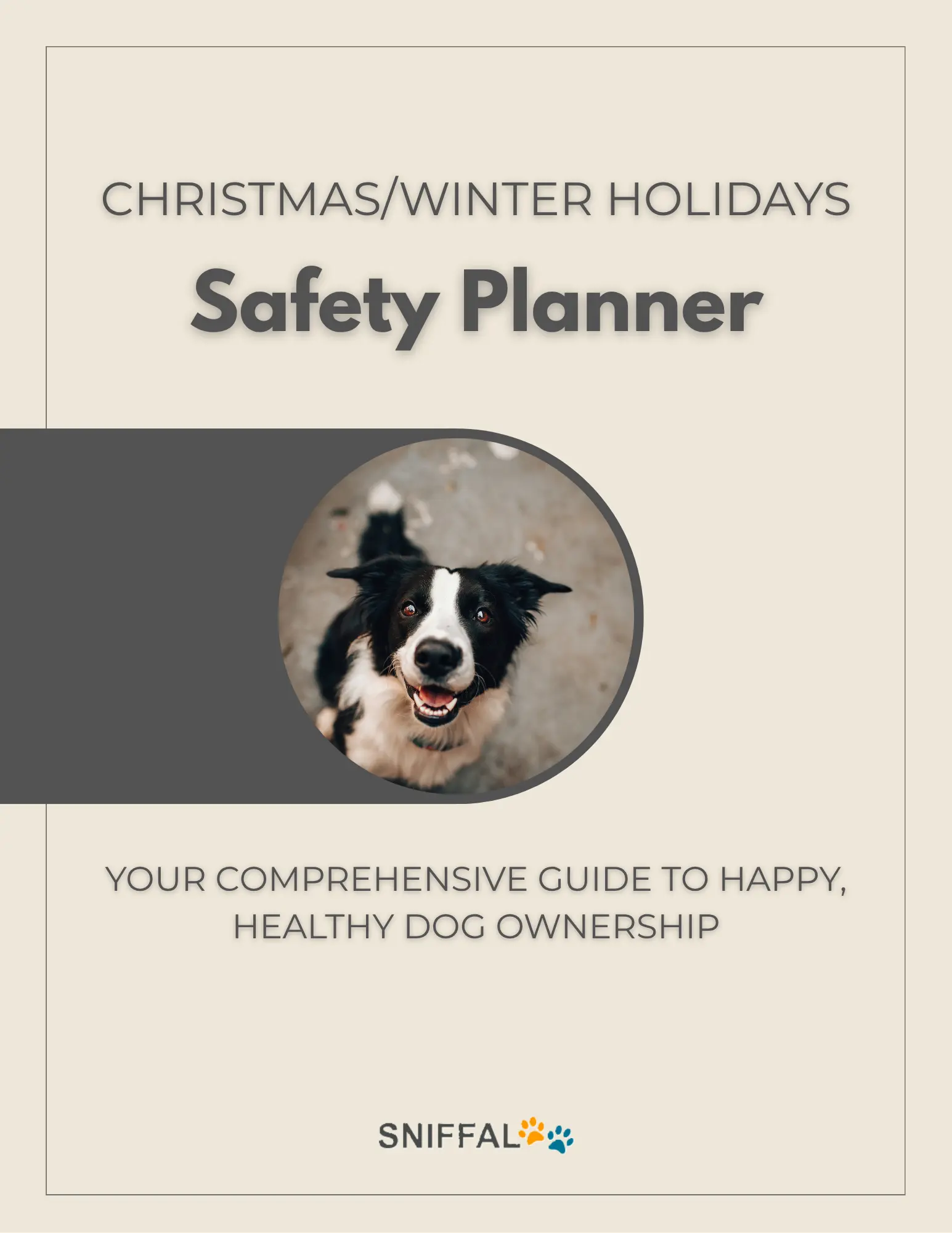 CHRISTMAS / Winter Holidays Safety Planner – article image